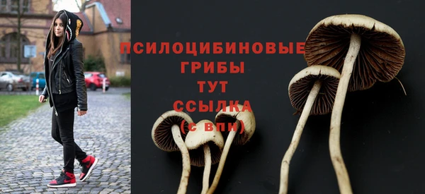 гидропоника Вяземский