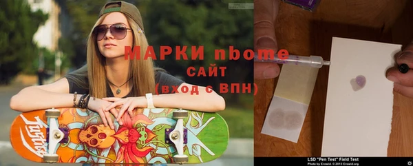 ГАЛЛЮЦИНОГЕННЫЕ ГРИБЫ Чегем