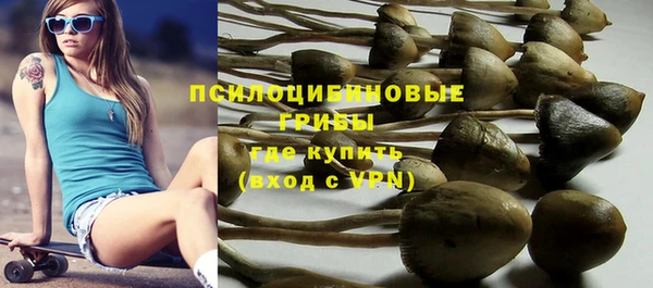 apvp Вязьма