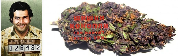 гидропоника Вяземский