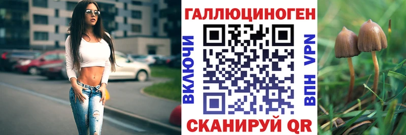 Псилоцибиновые грибы Psilocybe Ивантеевка